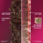 OGX Strength & Length + Keratin Oil Shampoo 385ML - Image 2